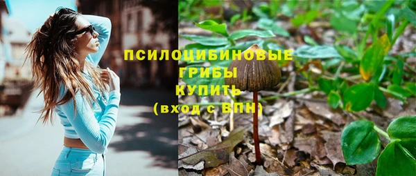 амф Богданович
