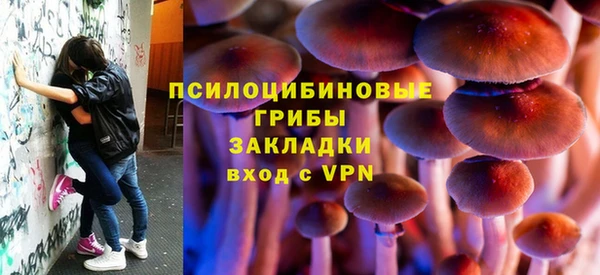 ешки Горно-Алтайск