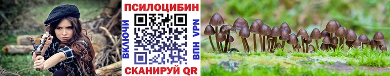 Псилоцибиновые грибы Psilocybe сколько стоит Демидов